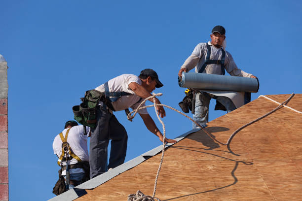 Best Roof Gutter Cleaning  in French Mp, CA